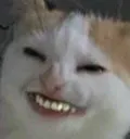 Umm
