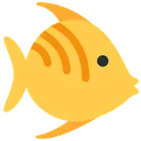 mirrored_tropical_fish