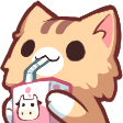 Neko_cat_sip Discord emoji