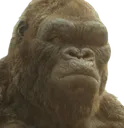 Kong_Oof Discord Emoji
