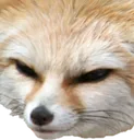 FluffyHeh