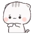 shy shy