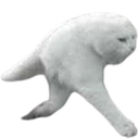 catrun Discord emoji