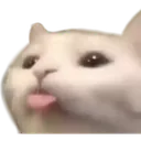 dilkedy