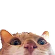 modiLurk