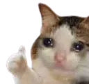 dt_sad_ok