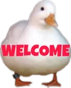 willkommenducken