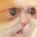 cathuhleft Discord Emoji