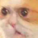 cathuhright Discord Emoji