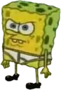 spongemad