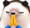 Kaorime