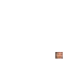 smallchamp
