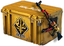 cases Discord emoji