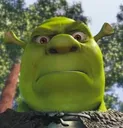 AreYouJokingShrek