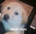 modo_serio