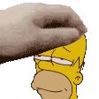 2348homerpat