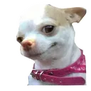 ASIN_kya_be