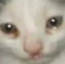 sad