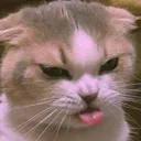 pussBlep