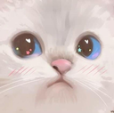 AA_Cat_Stare Discord emoji
