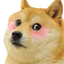 doge_flushed Discord Emoji