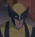 loganfacepalm