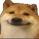 865218879579750420.webp