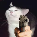 CatGun CatGun