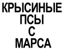 logo_banda Discord Emoji