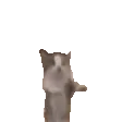 ppHyper
