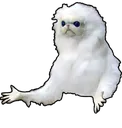 why2