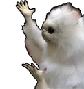 why1