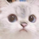 m4 Discord emoji