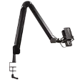 WaveMicArm