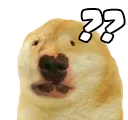 dugtf dugtf