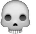 skull skull