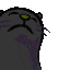 RD_dovejam Discord emoji