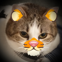 MotivationTiger Discord emoji