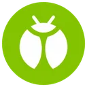 Type_bug