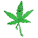 weedboi