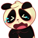 ASS_pandacry ASS_pandacry