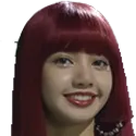 lisagrin
