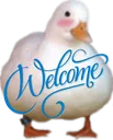 willkommenducken willkommenducken