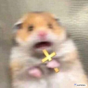 fearhampter Discord emoji