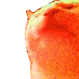 CATJAMJAMJAM