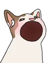 Popcat2 Discord Emoji