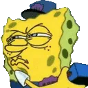 spongepolice