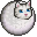 TGbollbritishshorthair