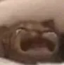 Catcry Catcry