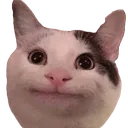 AH_politecat Discord Emoji